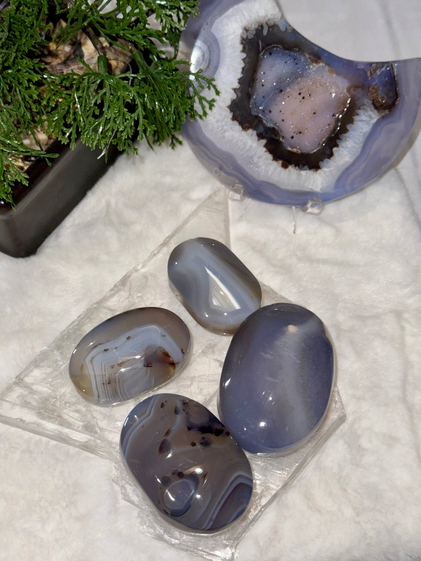 Blue Agate Palmstones