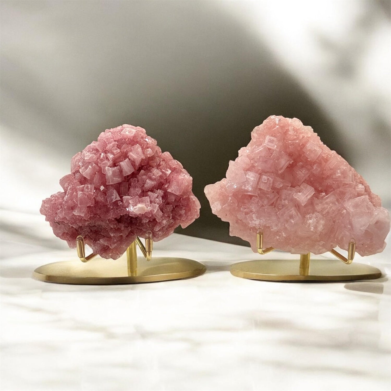 Statement Pieces & Collector Items