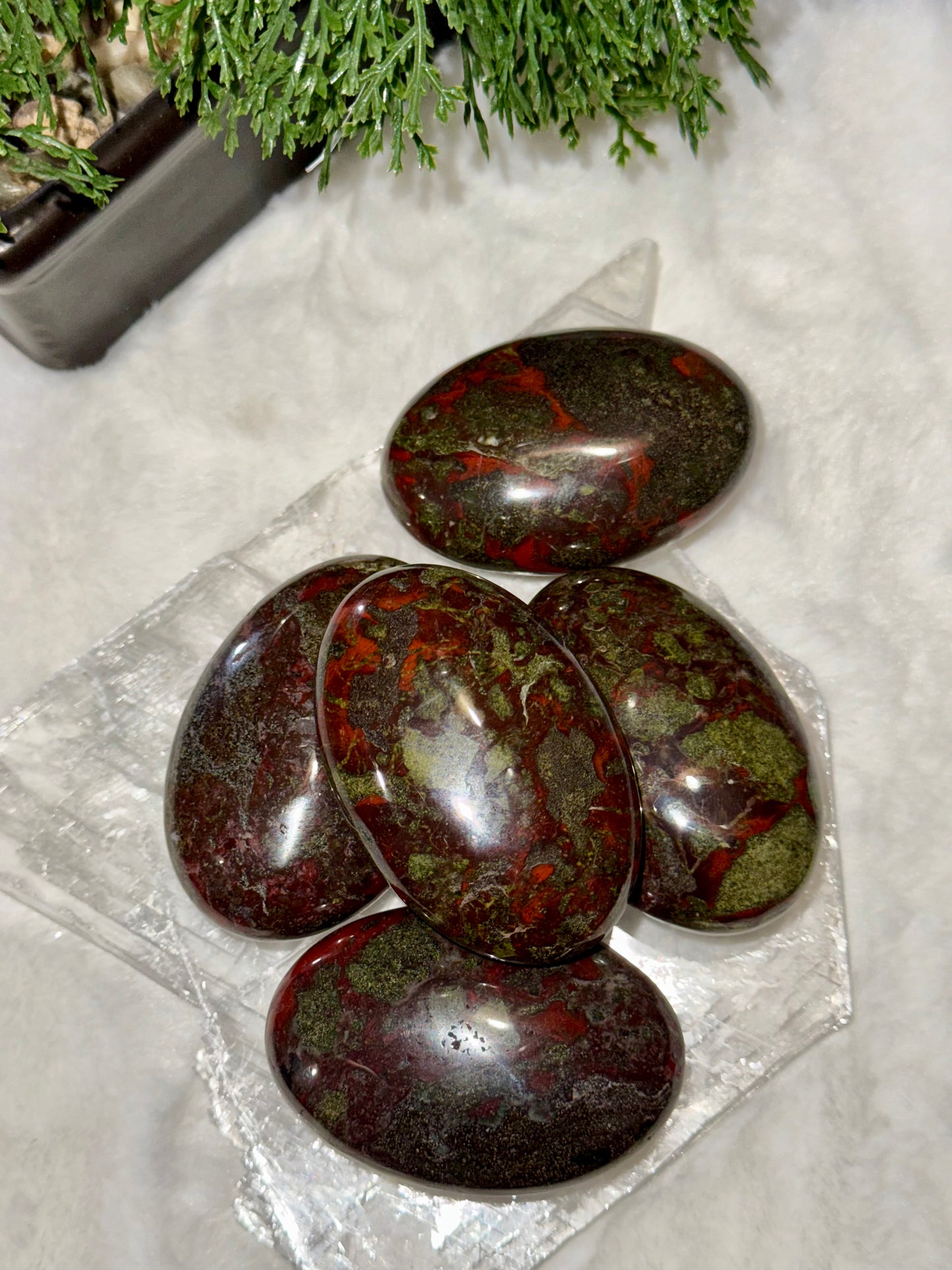 Dragon Bloodstone Palmstones