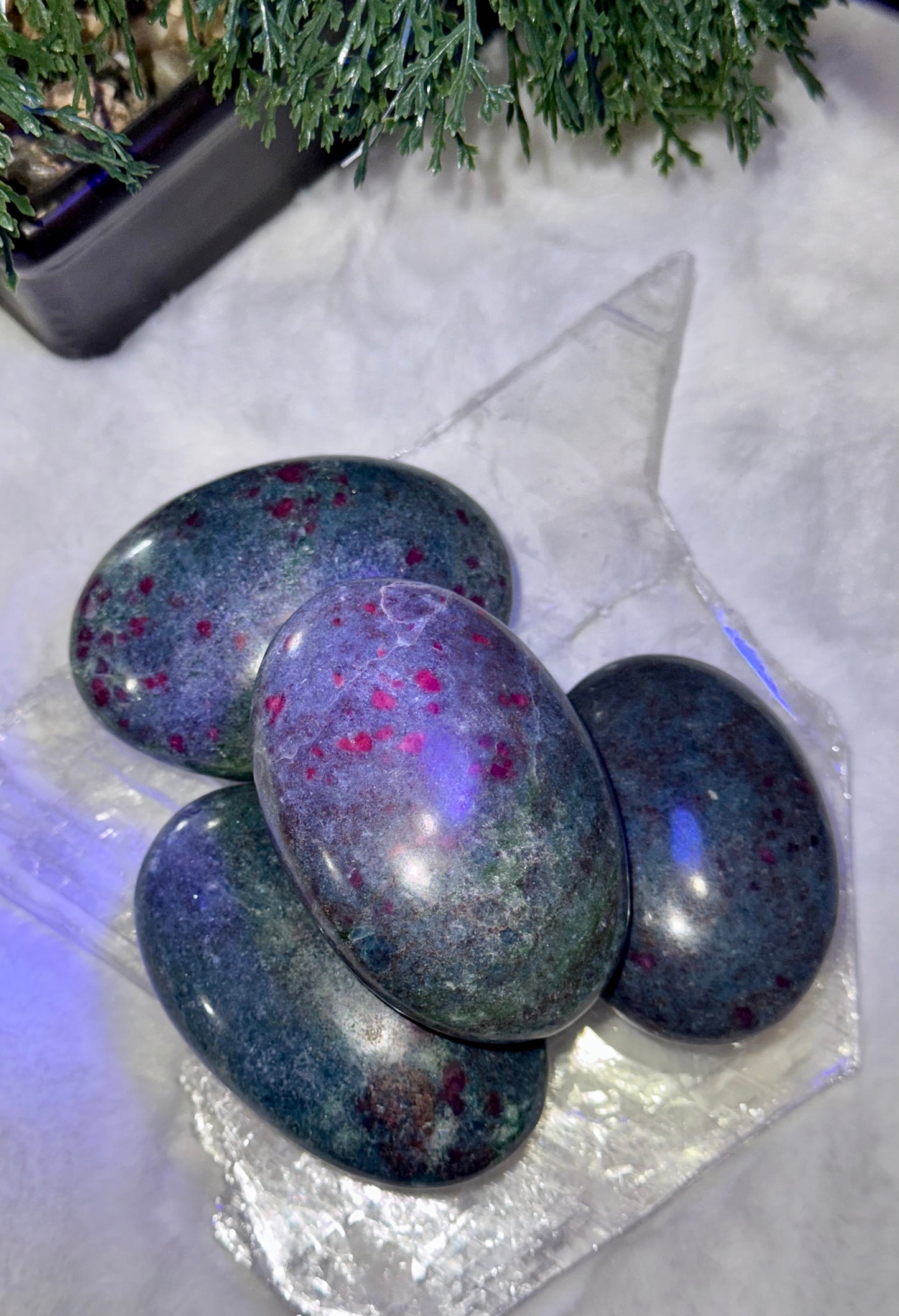 Ruby In Kyanite Palm Stones