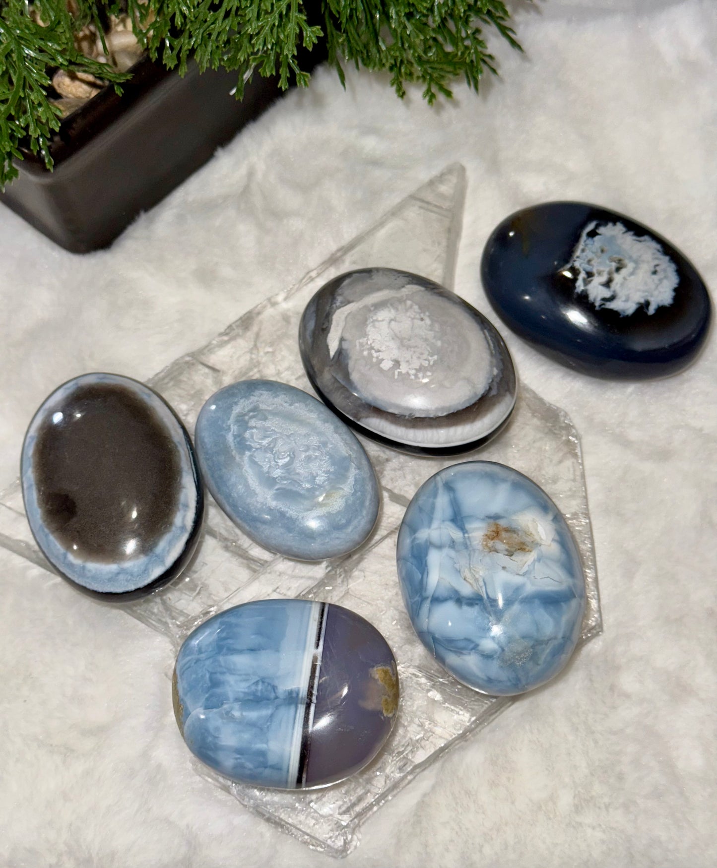 Blue Owyhee Opal Palm Stones