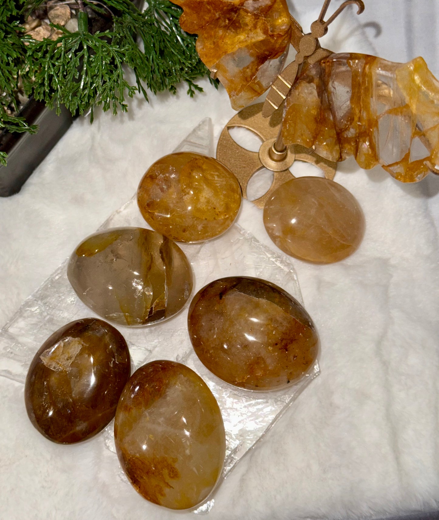 Golden Healer Palm Stones