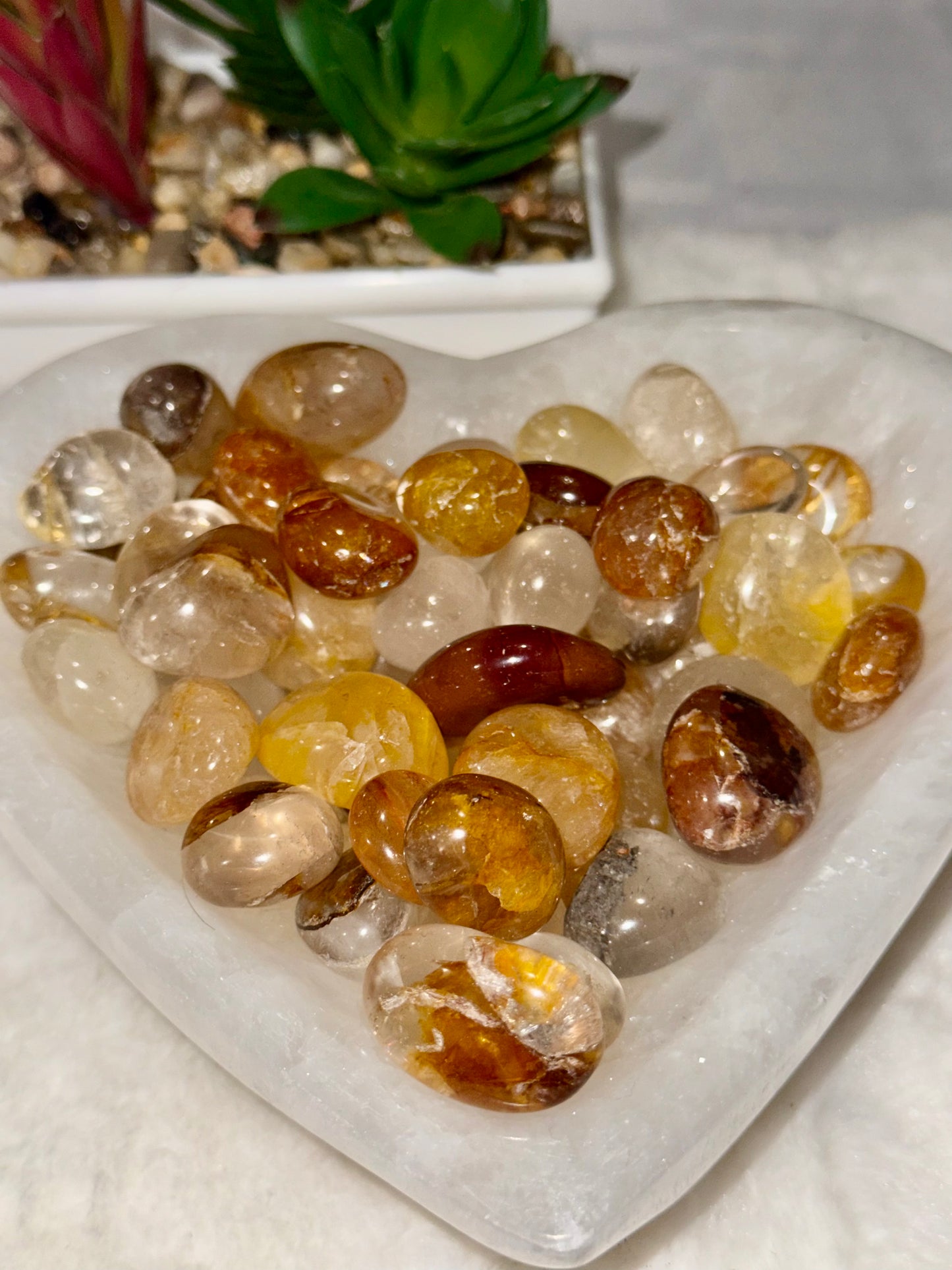 Golden Healer Tumbles