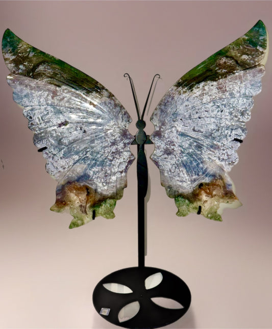 HUGE Druzy Moss Agate Wings With Stand